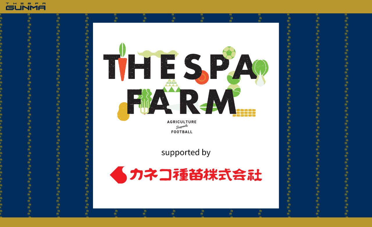 2026MATCHDAY INFORMATION 5/31 プレーオフ ラウンド第1戦 | ザスパ